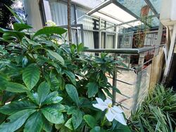 D'Dalvey (D10), Apartment #392357491